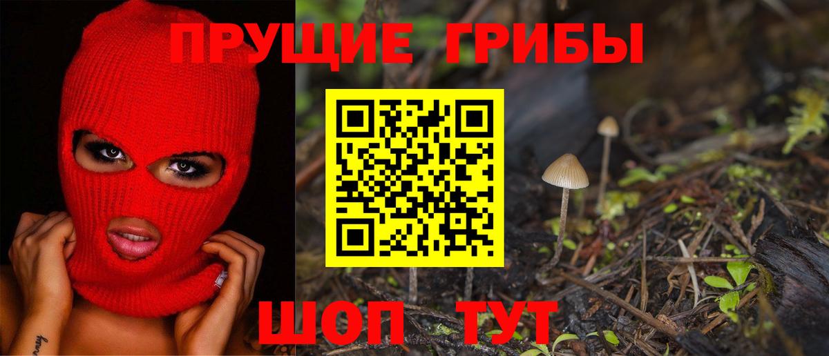 Первоуральск  Псилоцибиновые грибы Cubensis  Вход с VPN 